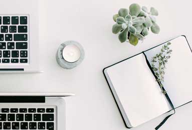 你说有意思不？曼联没有参加欧冠，欧冠赛场却满眼都是曼联球员！